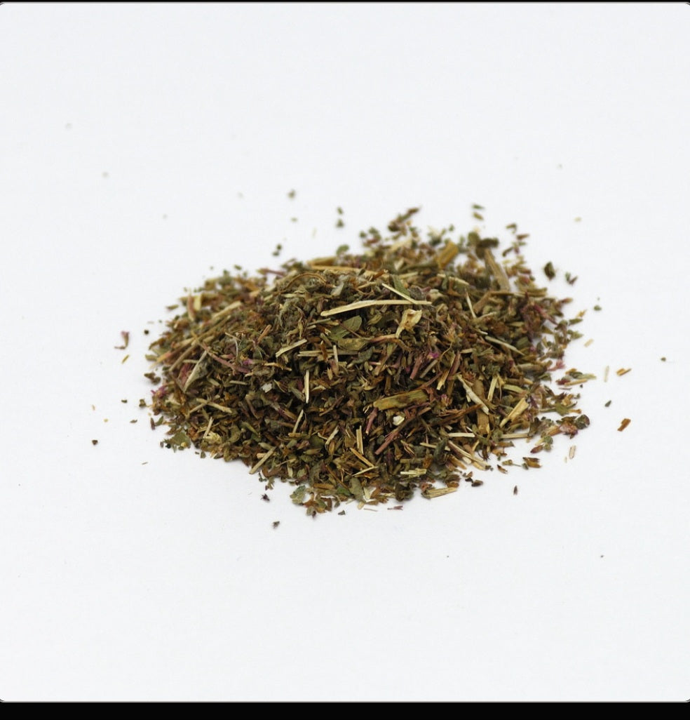 Pennyroyal - Organic - 1 oz.