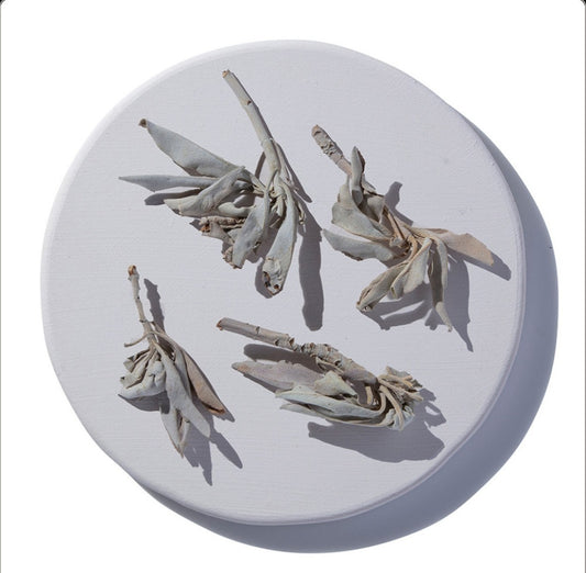 White Sage - Loose - Organic - 1 oz