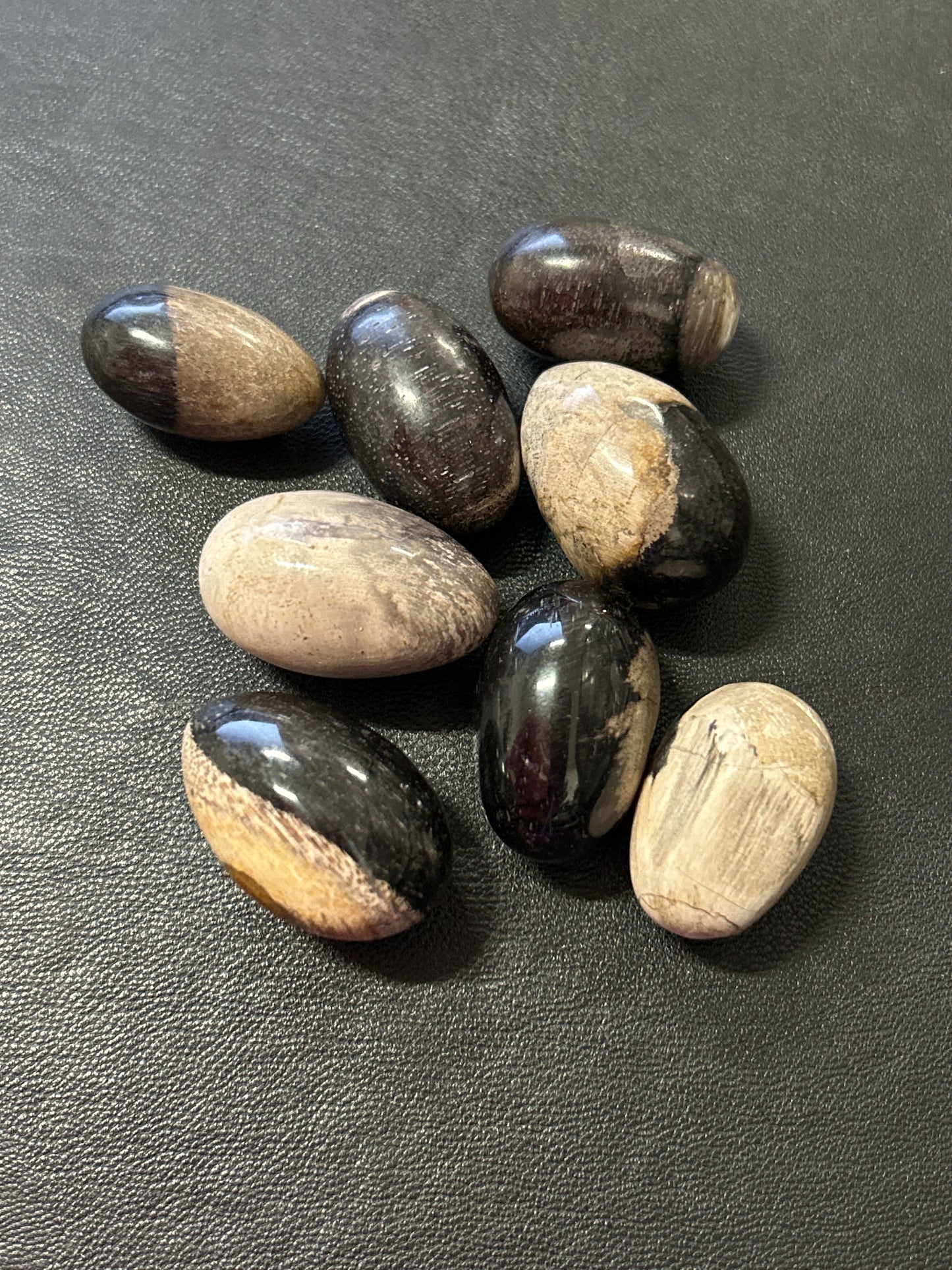 Palm Root Stone