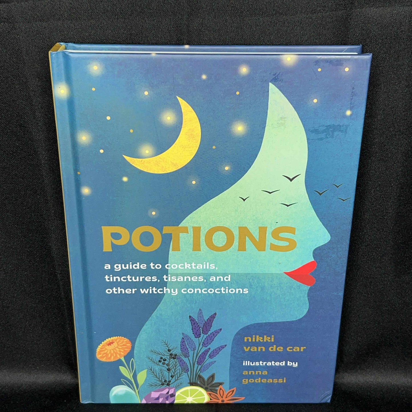 Potions: A guide to Cocktails, tinctures, tisanes, and other witchy concoctions (Nikki Van De Car)
