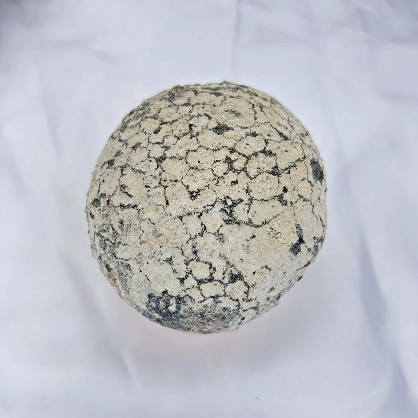 Lrg Coconut Geode