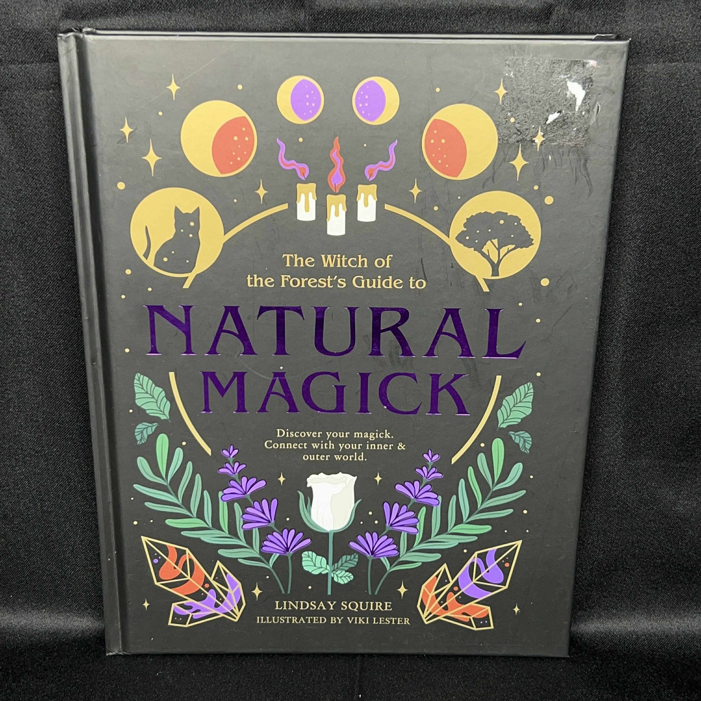 The Witch Of the Forests Guide to Natural Magick (Lindsay Squire)