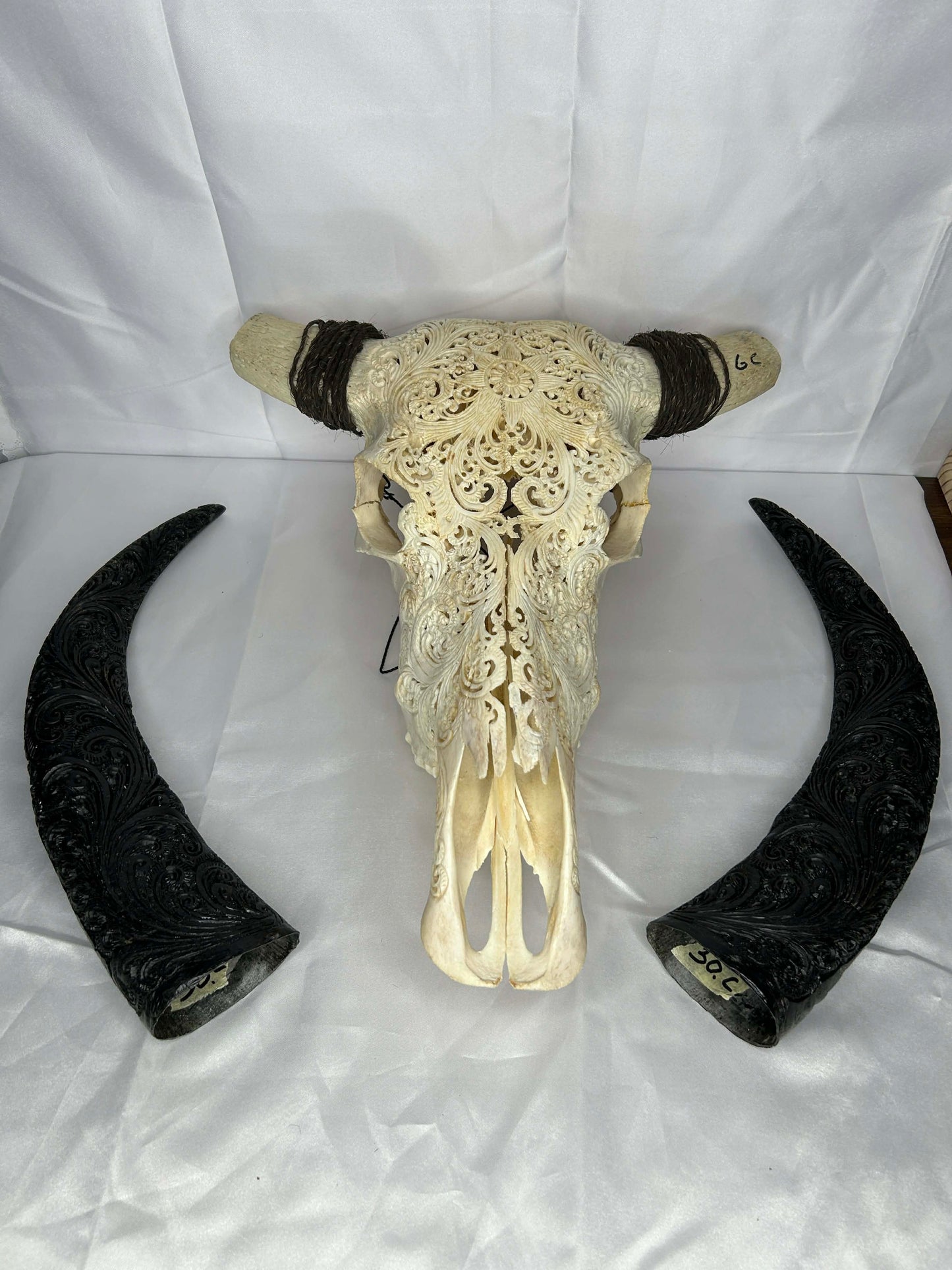 Decorative Bull Skull with Hand Carved Horns