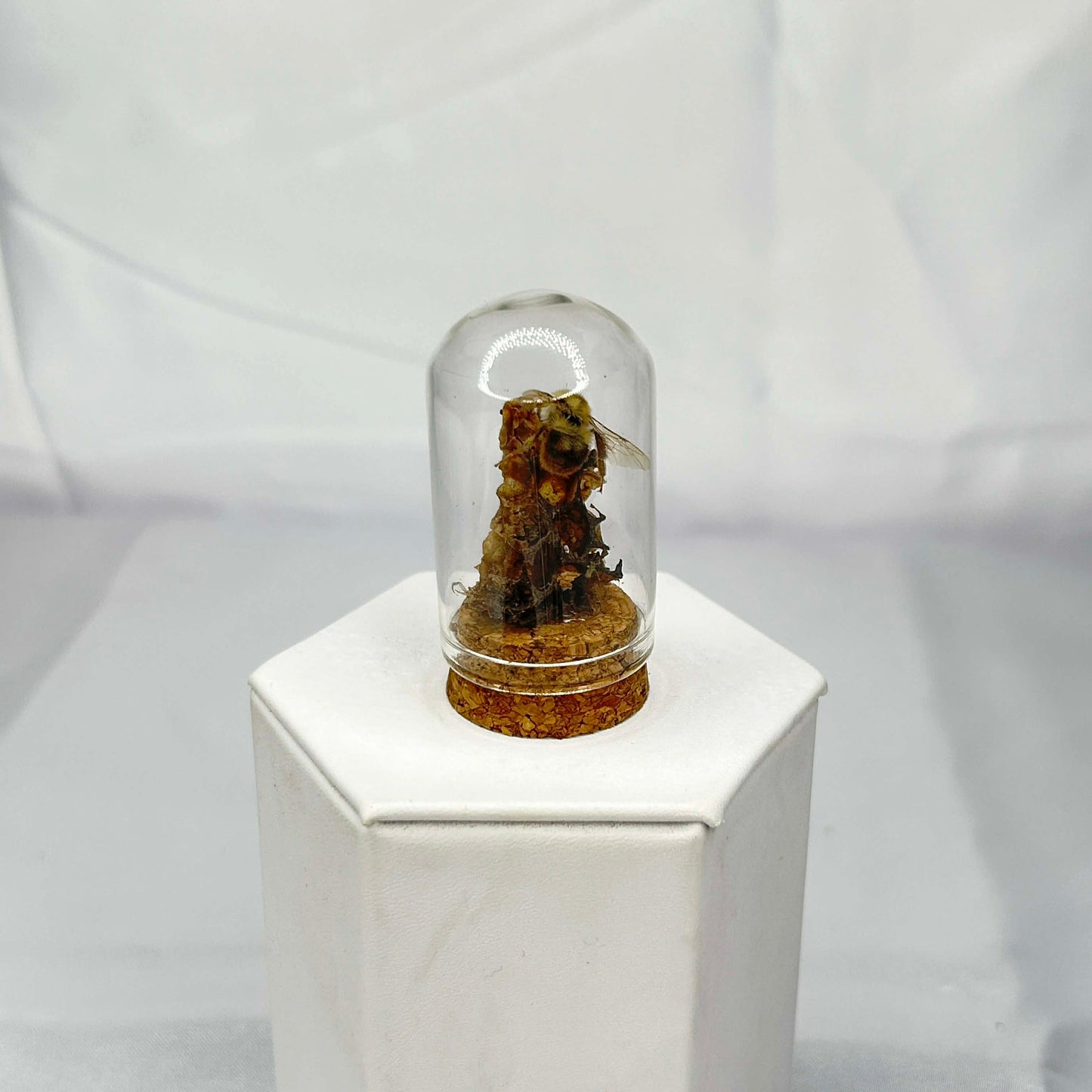 Bees on Honeycomb Oddity Dome