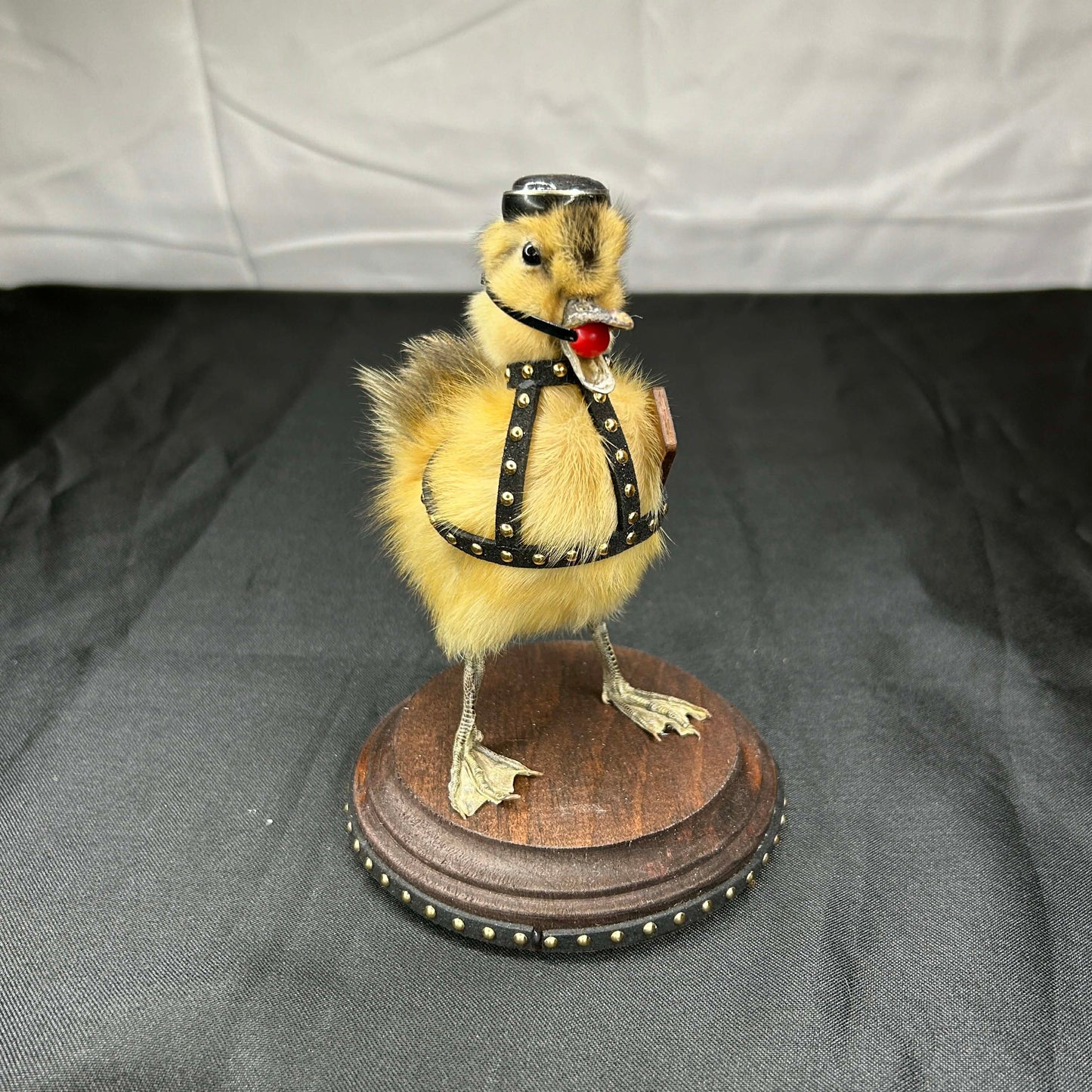 Bdsm Duckie