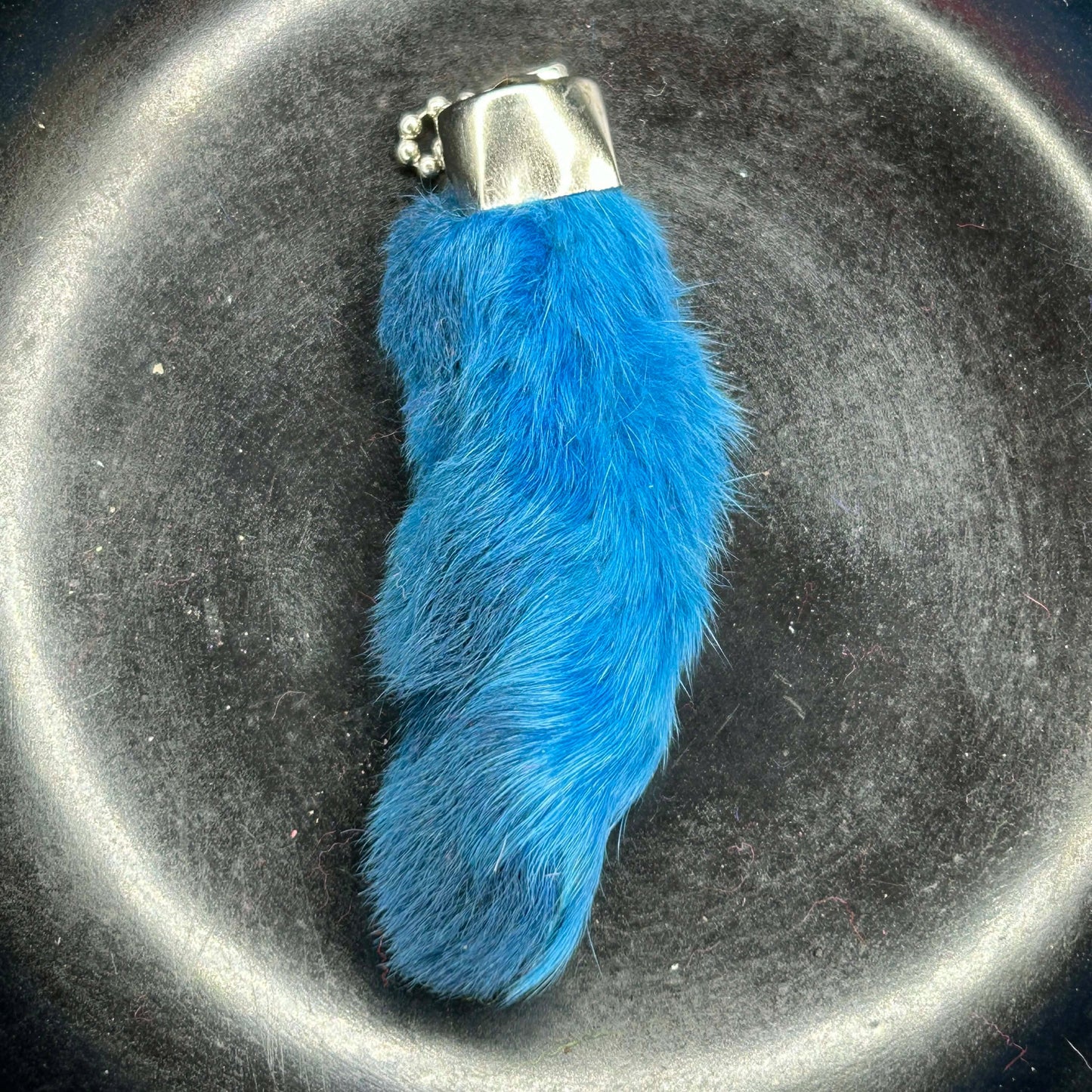 Colored Rabbits Feet
