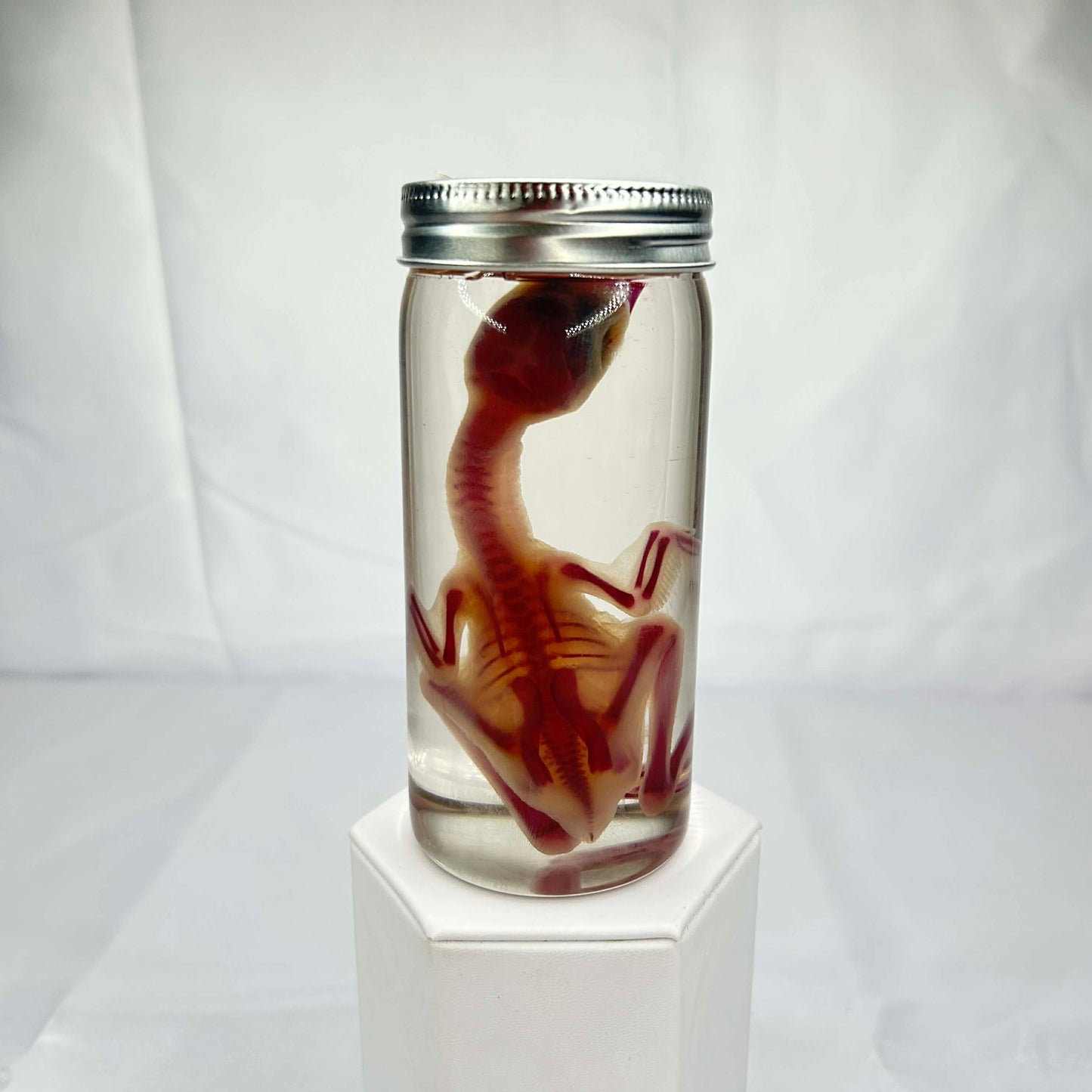 Diaphonized Baby Turkey