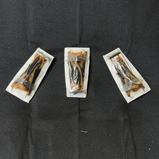 Kerivoula picta (frameless)