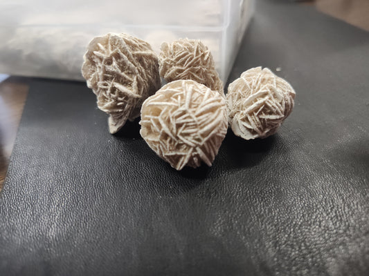 Desert Rose