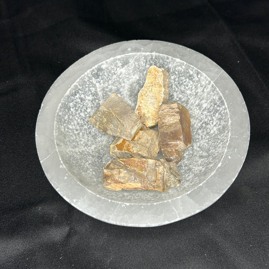 Petrified Wood Raw
