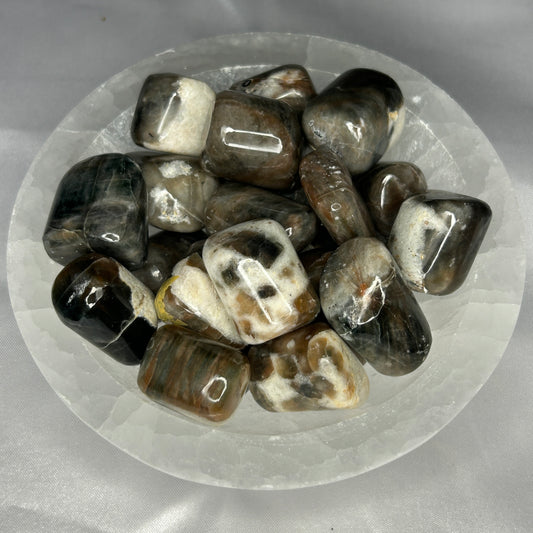Apatite Cats Eye Tumbles