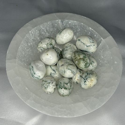Tree Agate Ovals