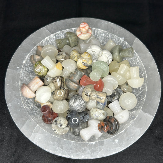 Mixed Mini Mushrooms