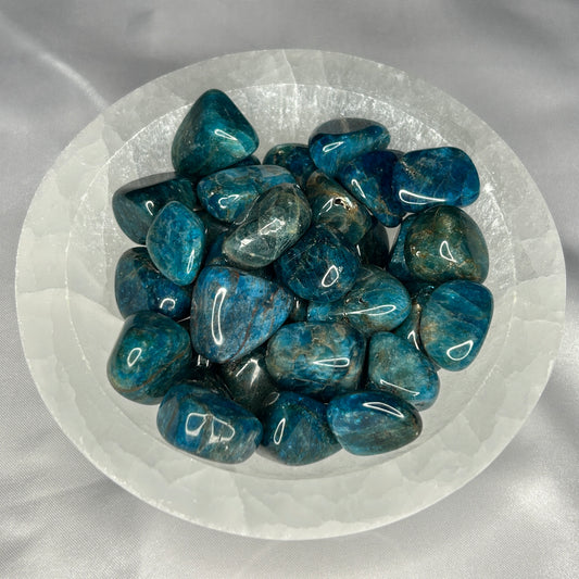 Blue Apatite Tumbles (Vibrant)