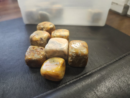 Crazy Lace Agate Cube