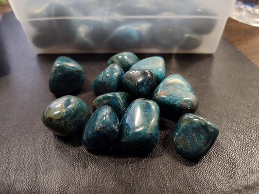 Blue Apatite Tumbles (Vibrant)