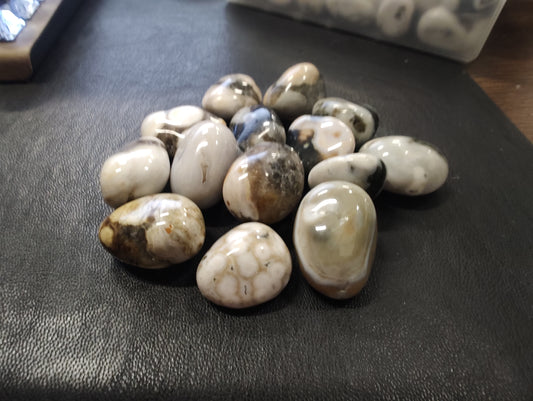 Bubble Ocean Jasper