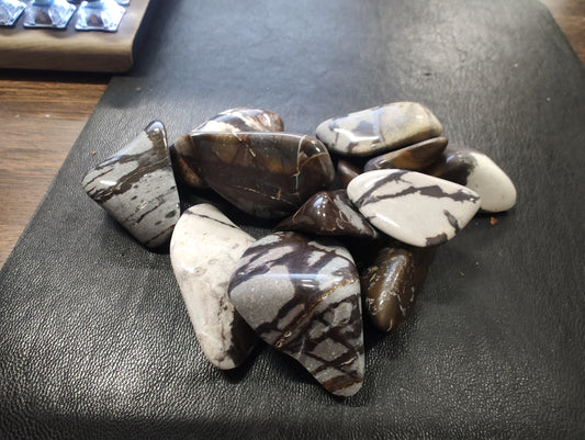 Outback Jasper (MD)