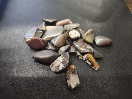 Outback Jasper (SM)