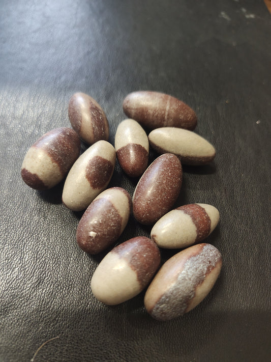 Shiva Mini Tumbles