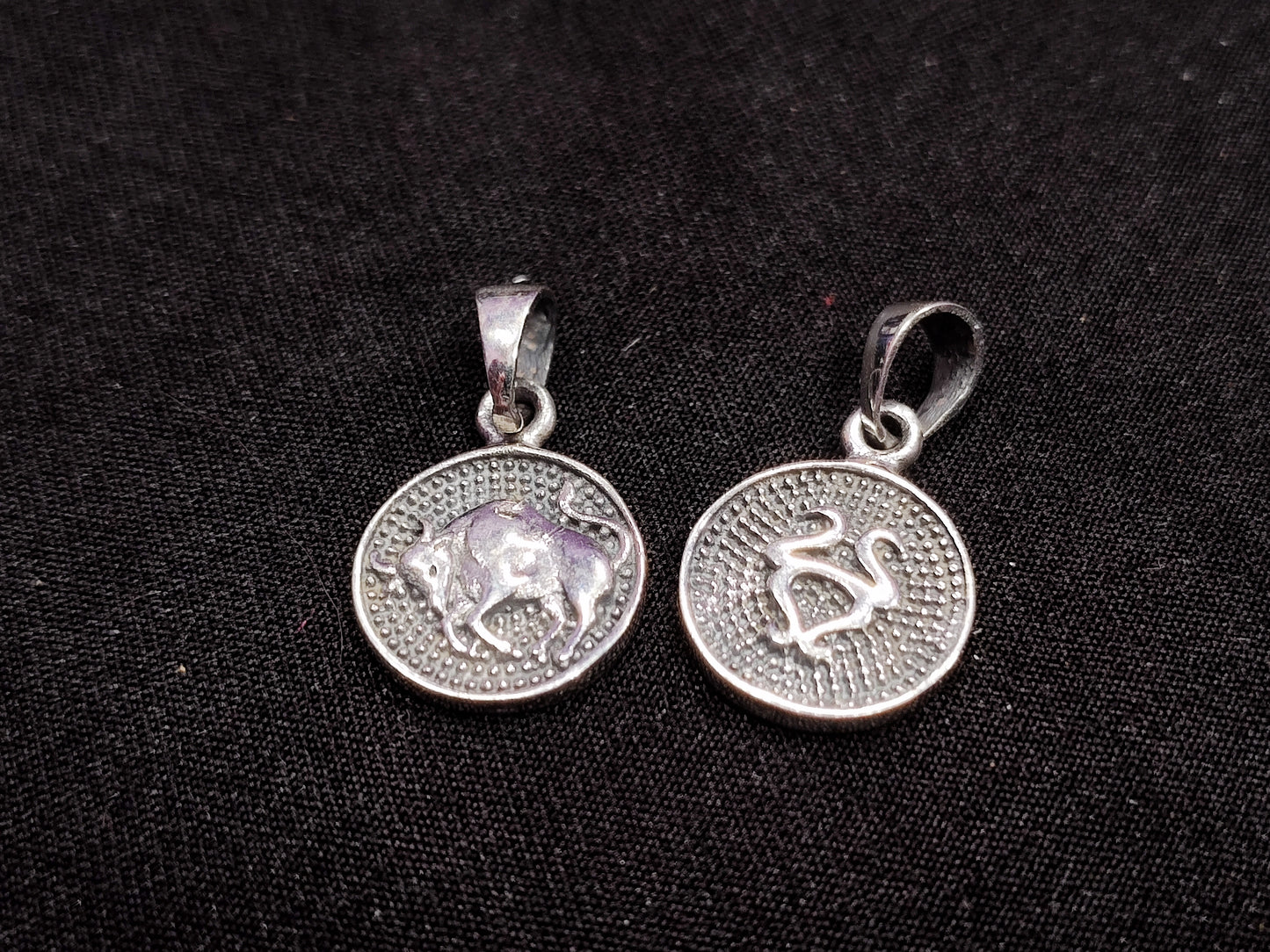 Zodiac Sterling Silver Necklace Charm