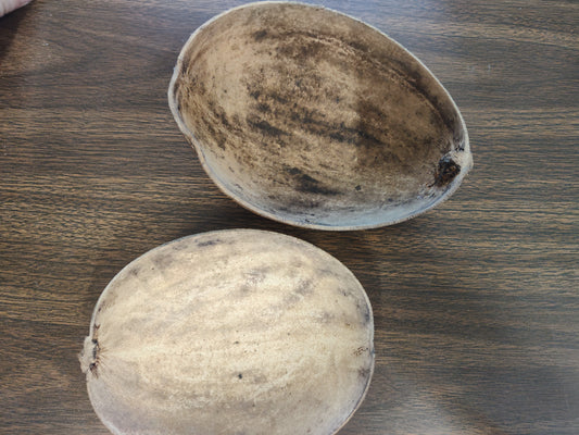 Plain Coconut Bowls