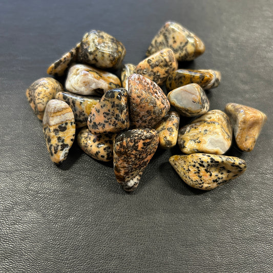 Cheetah Agate