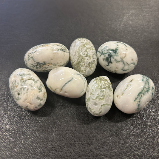 Tree Agate Ovals