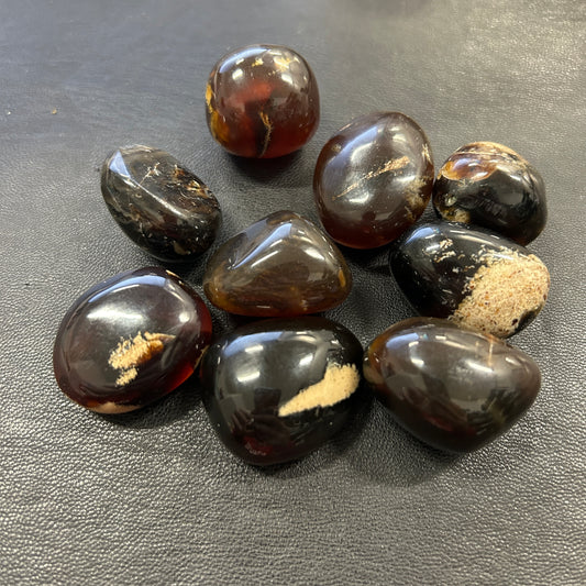 Zebra Amber Tumbles