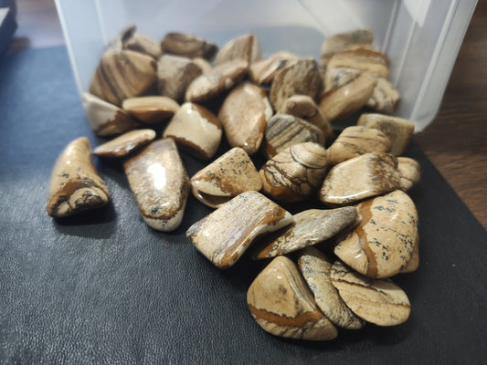 Picture Jasper