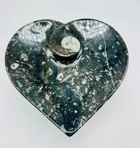 Orthoceras Heart Bowl - 4.5"