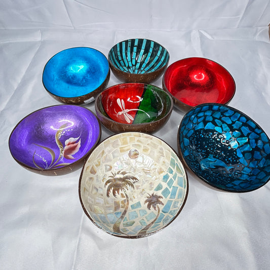 Colored Coconut Bowl