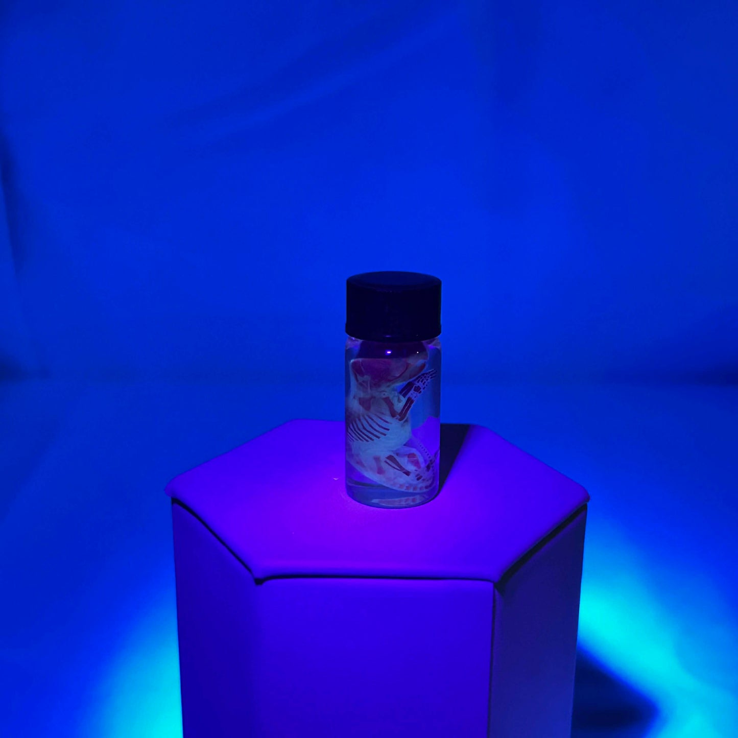 Diaphonized Pinky Mouse