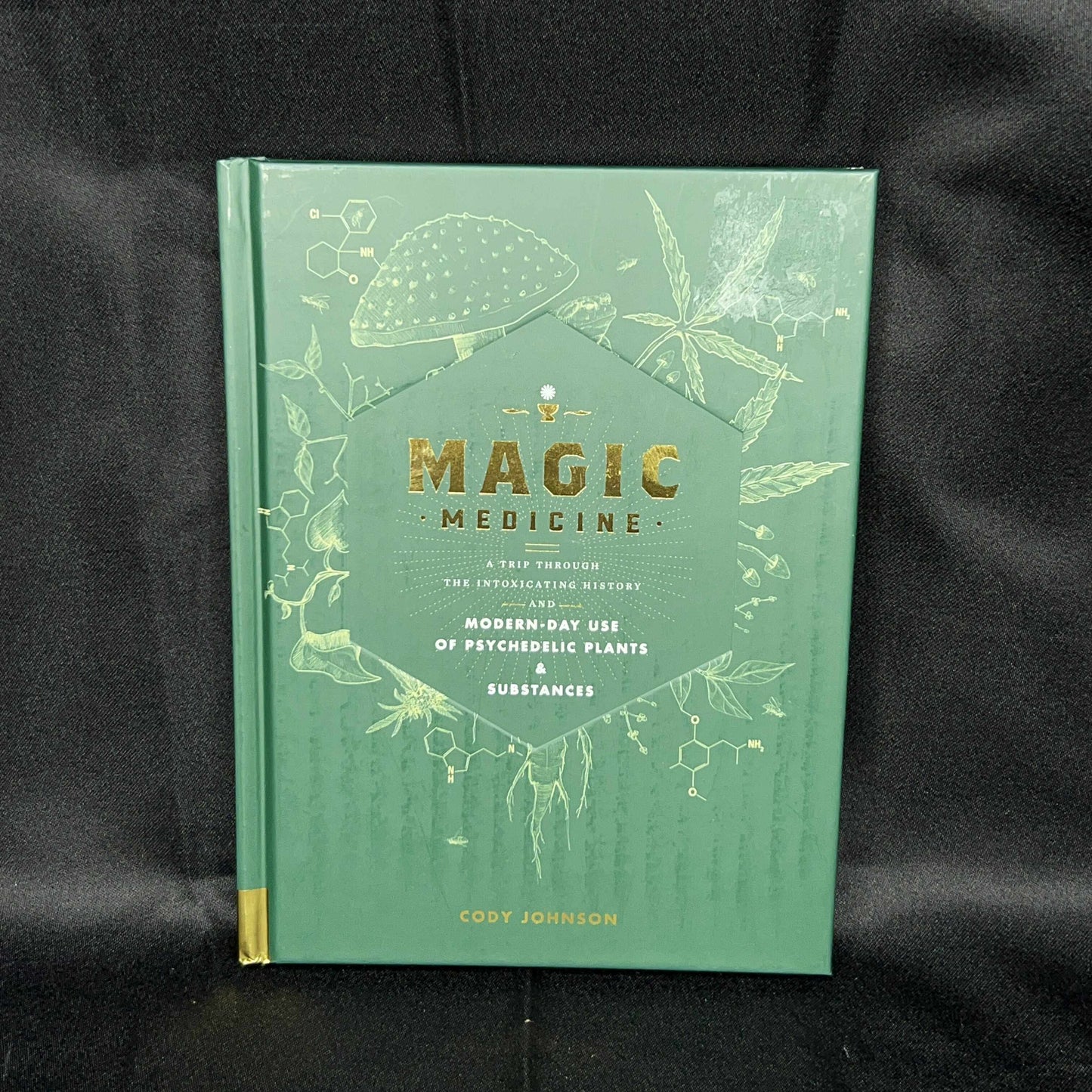 Magic Medicine Guidebook (Cody Johnson)