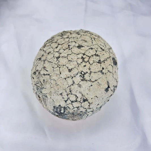 Lrg Coconut Geode