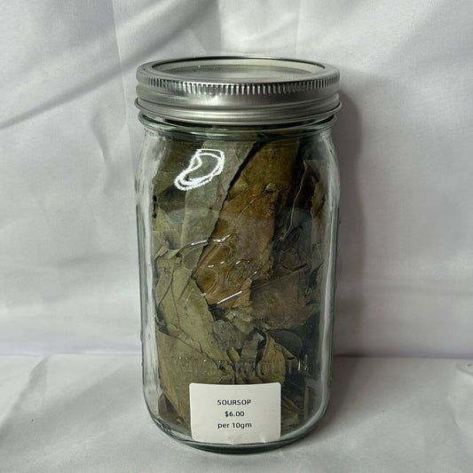 Soursop Leaf Organic