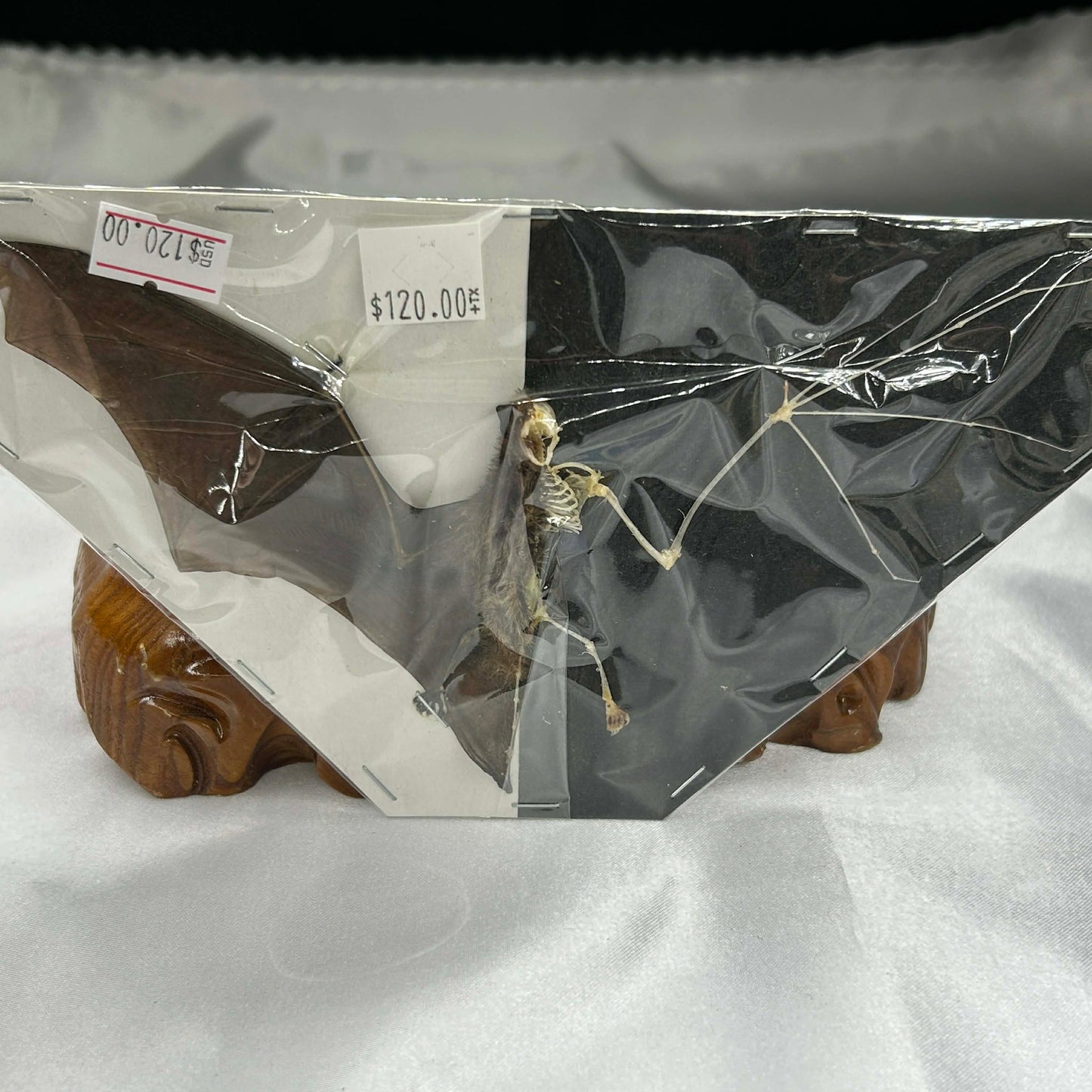 Bamboo Bat with Exposed Skeleton