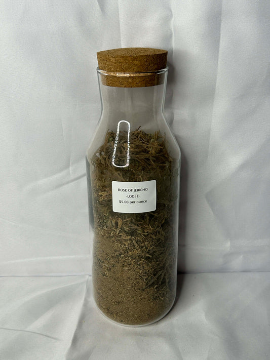 Rose of Jericho - Loose