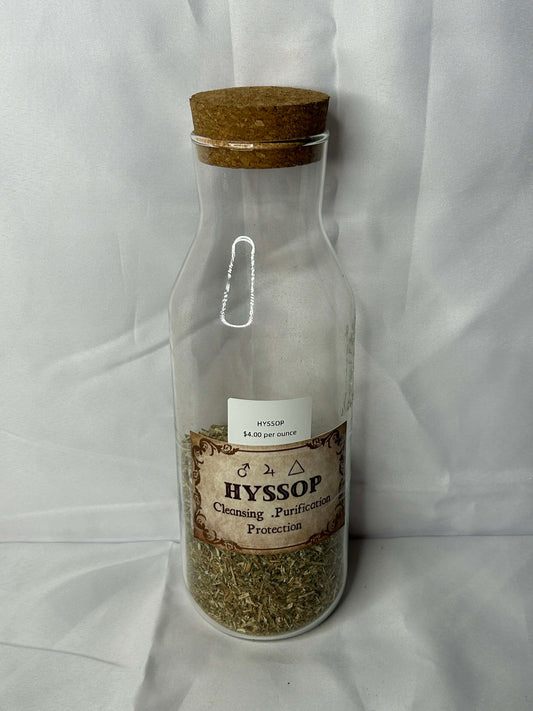 Hyssop - Organic