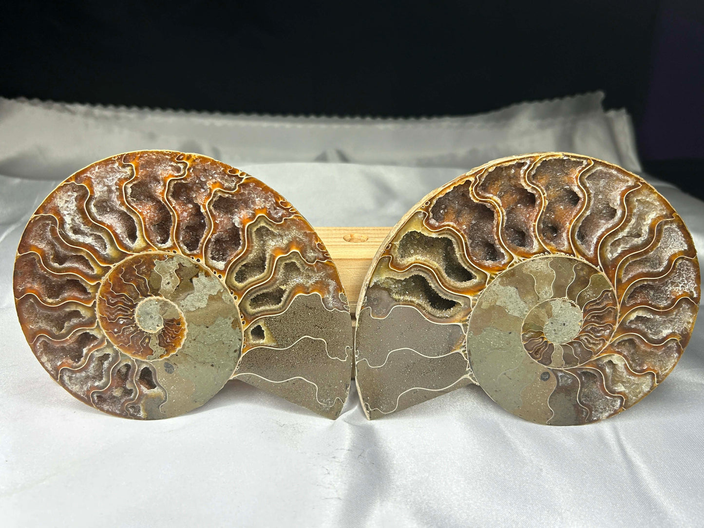 Brass Crystalized Drusy Ammonite Set