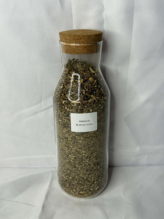 Angelica - Organic