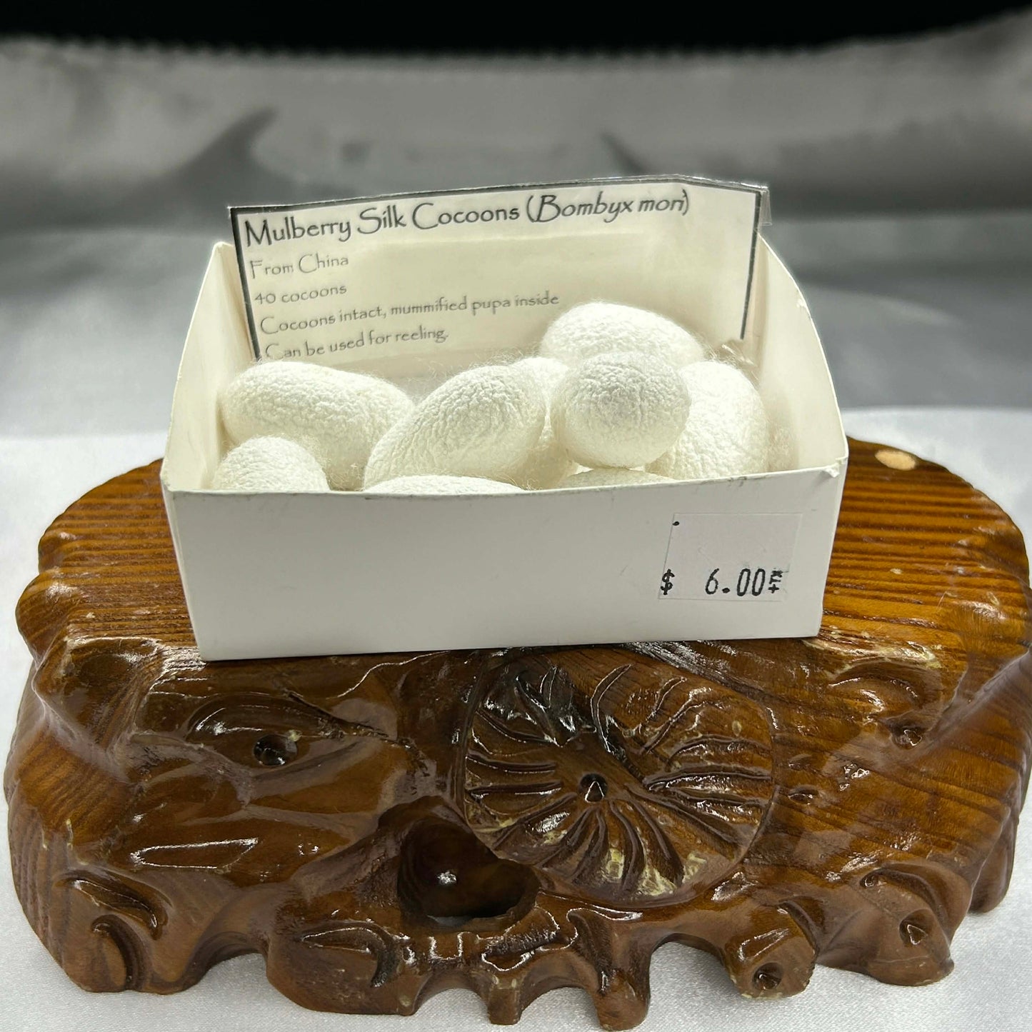 Mulberry Silk Moth Cocoons