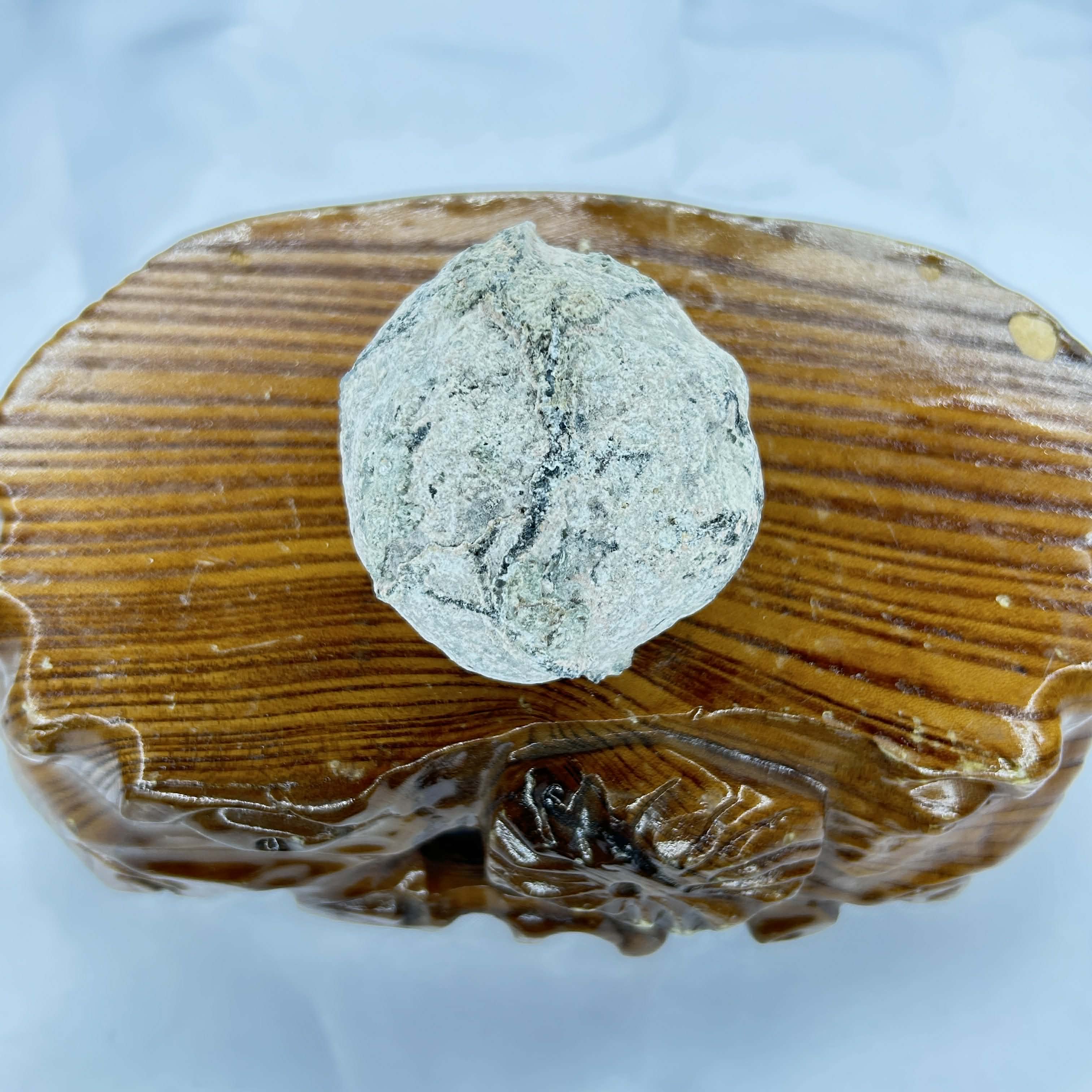 Coconut Geode – Midnight Moonlight and Magick
