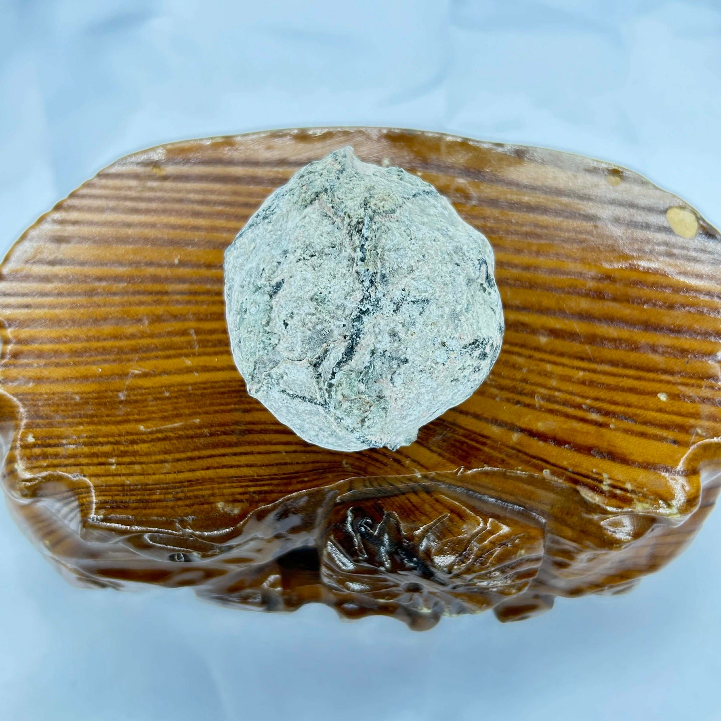 Coconut Geode