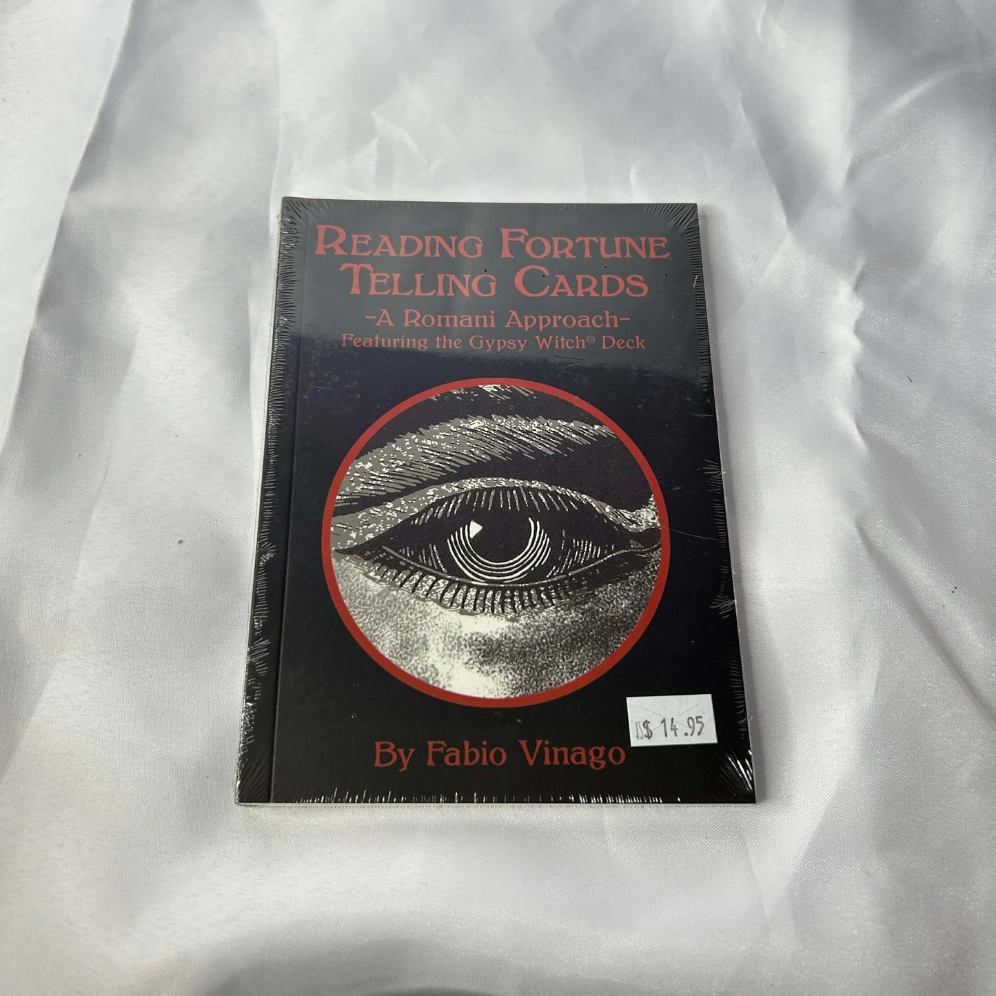 Reading Fortune Telling Cards - Fabio Vinago
