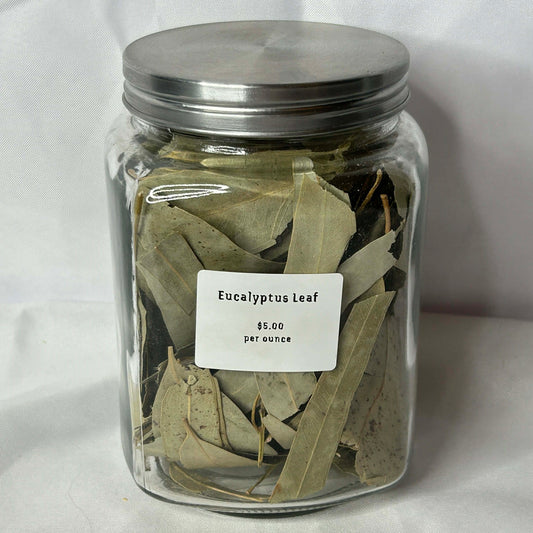 Eucalyptus Leaf Organic