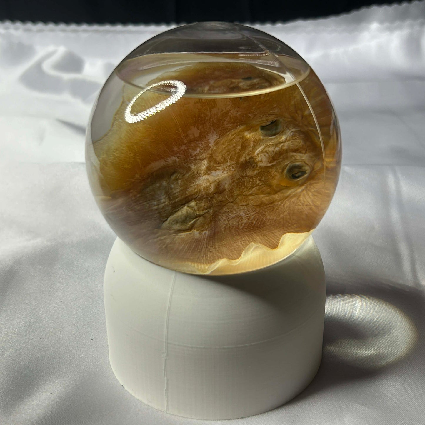 Sting Ray Wet Specimen