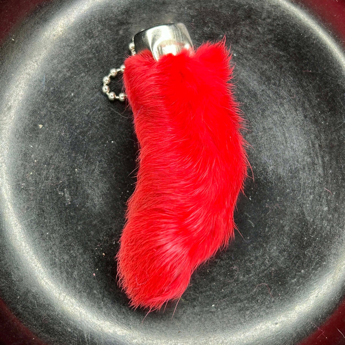 Colored Rabbits Feet