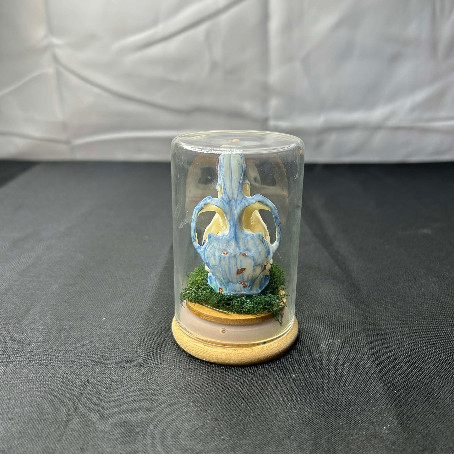 Mystical Muskrat Oddity Dome