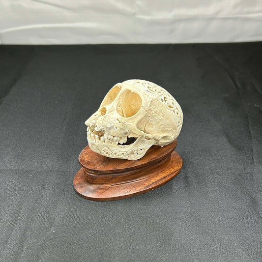 Decorative Monkey Skulls